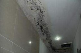 成都市青蘇職業學院 辦公樓公測天花板漏水