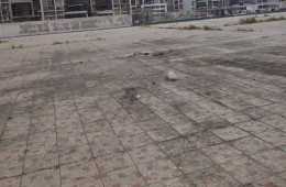 李滄區嶗山迎賓館屋頂防水翻新外包